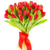 Фото товара 51 красный тюльпан в Измаиле