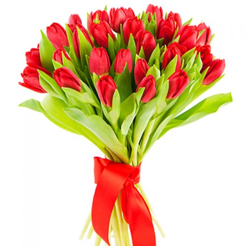 Фото товара 25 красных тюльпанов в Измаиле