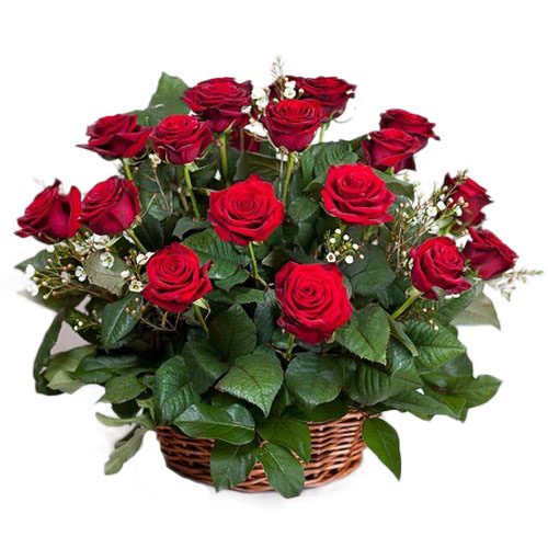 Фото товара 21 красная роза в корзине в Измаиле