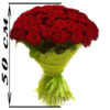 Фото товара 51 красная роза (50см) в Измаиле