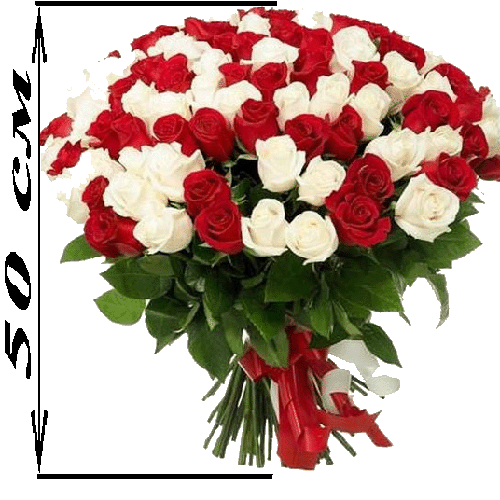 Фото товара 101 роза микс красная и белая (50 см) в Измаиле