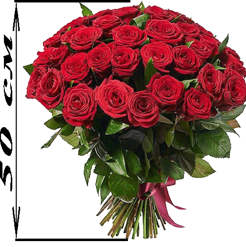 Фото товара 51 красная роза (50см) в Измаиле