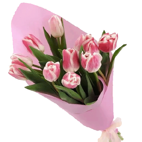 Фото товара 11 розовых тюльпанов в Измаиле