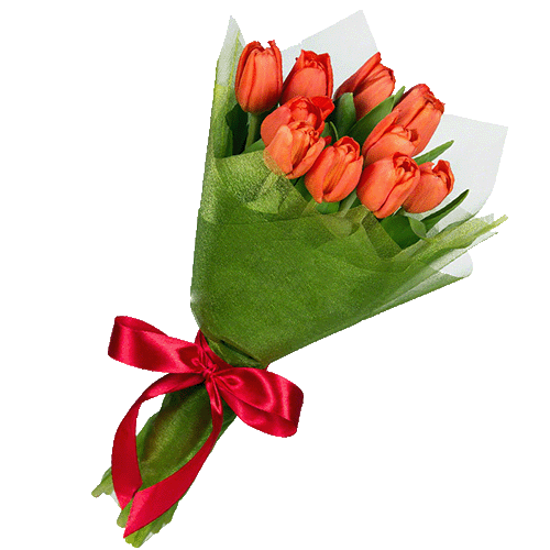 Фото товара 11 красных тюльпанов в Измаиле