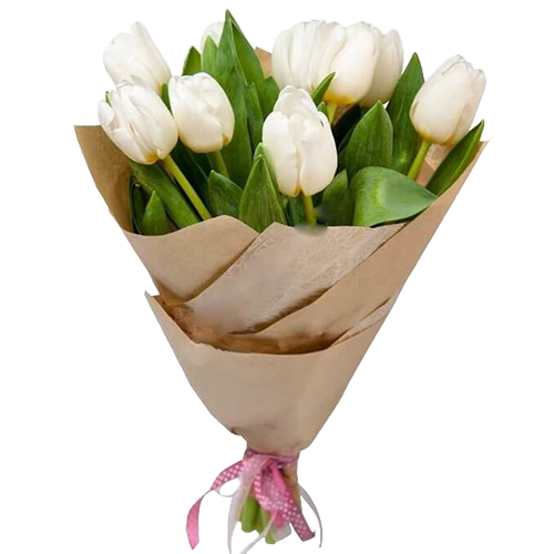 Фото товара 11 белых тюльпанов в Измаиле