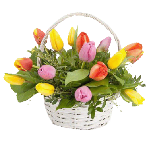 Фото товара 15 тюльпанов в корзине в Измаиле