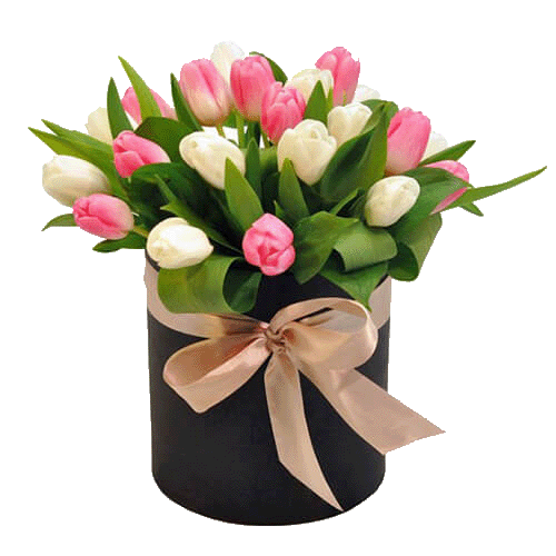 Фото товара 25 тюльпанов в коробке в Измаиле