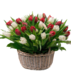 Фото товара 151 тюльпан в шляпной коробке в Измаиле