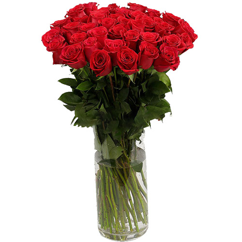 фото товара Троянда імпортна червона (поштучно) | «Букетик Ізмаїл»
