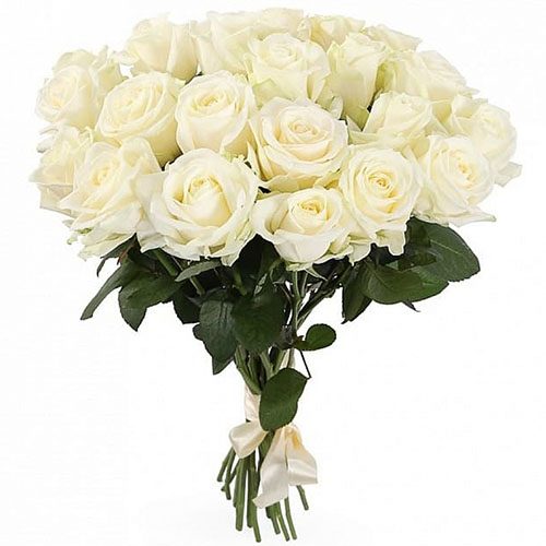 Фото товара 21 белая роза в Измаиле