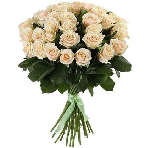 Фото товара 33 кремовые розы в Измаиле