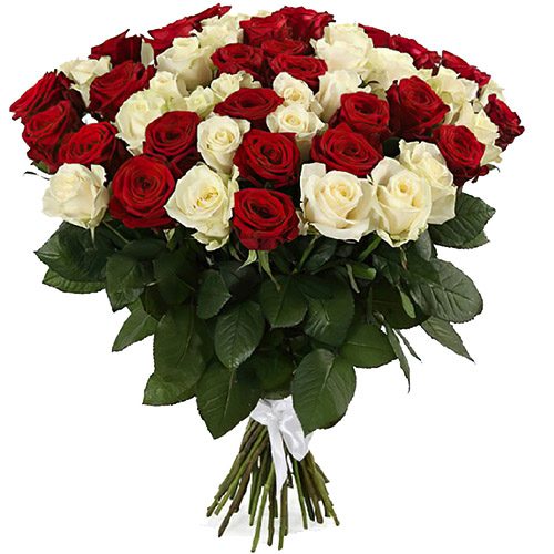 Фото товара 51 роза красная и белая в Измаиле