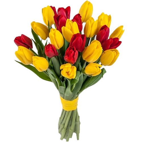 Фото товара 15 красно-жёлтых тюльпанов (с лентой) в Измаиле