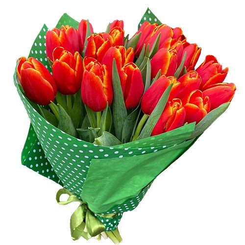 Фото товара 21 тюльпан "Маковый цвет" в Измаиле
