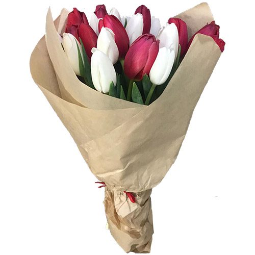Фото товара 21 красно-белый тюльпан в крафт в Измаиле