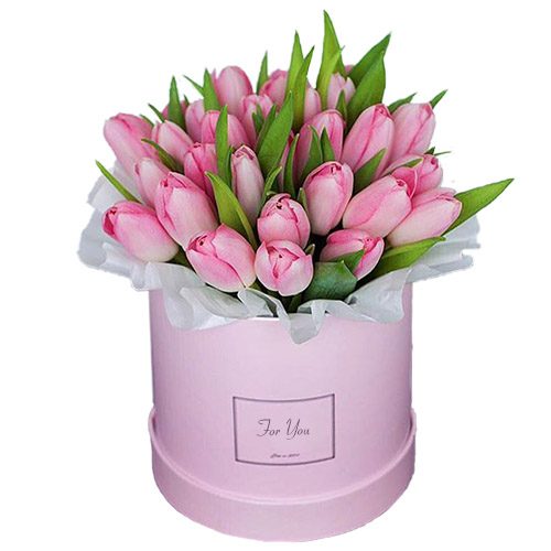 Фото товара 31 нежно-розовый тюльпан в коробке в Измаиле