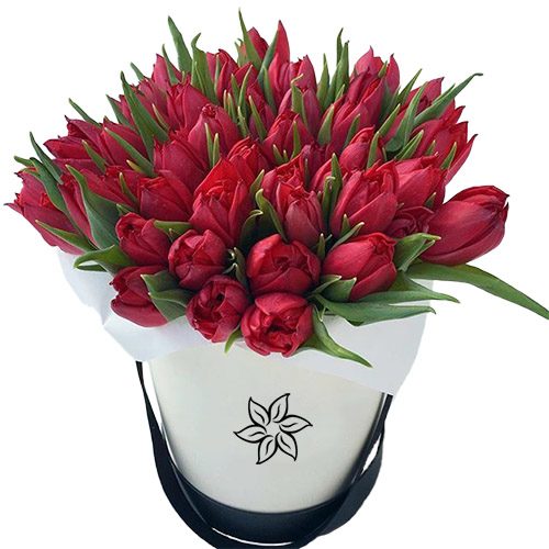 Фото товара 45 алых тюльпанов в коробке в Измаиле