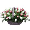 Фото товара 51 бело-розовый тюльпан в коробке в Измаиле