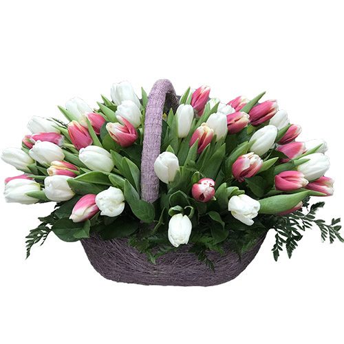 Фото товара 51 бело-розовый тюльпан в корзине в Измаиле