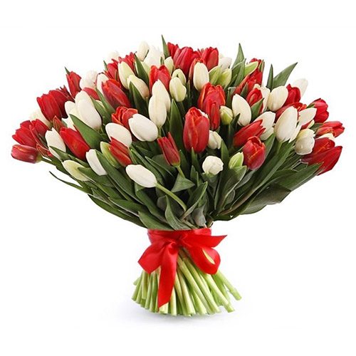 Фото товара 75 красно-белых тюльпанов (с лентой) в Измаиле