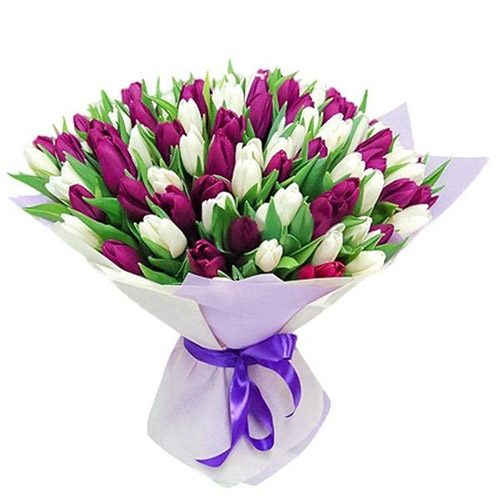 Фото товара 75 пурпурно-белых тюльпанов в Измаиле