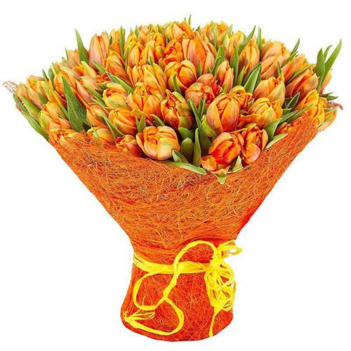 Фото товара 101 маковый тюльпан в Измаиле