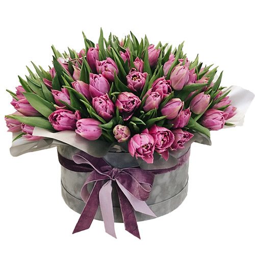 Фото товара 101 пурпурный тюльпан в коробке в Измаиле