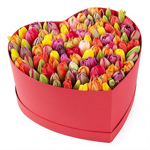 Фото товара 101 тюльпан в коробке сердцем в Измаиле