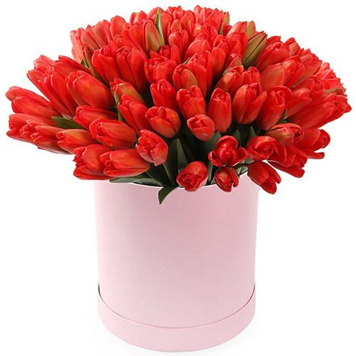 Фото товара 101 красный тюльпан в коробке в Измаиле