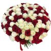 Фото товара 101 красная и белая роза в Измаиле