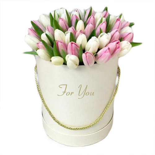 Фото товара 51 бело-розовый тюльпан в коробке в Измаиле