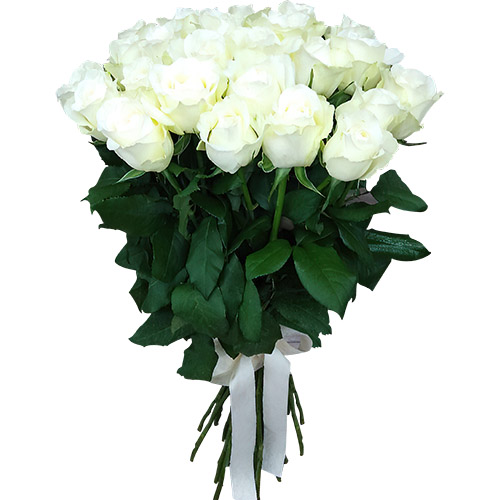 Фото товара 25 белых роз в Измаиле