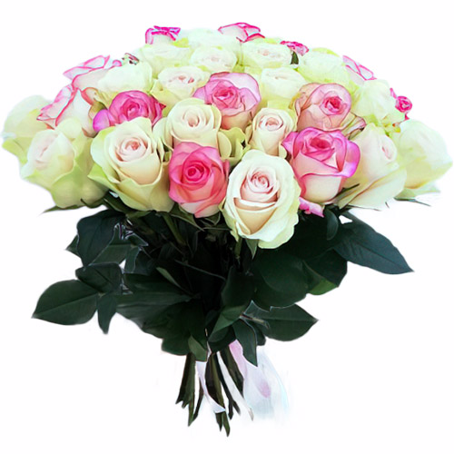 Фото товара 33 кремовые и розовые розы в Измаиле