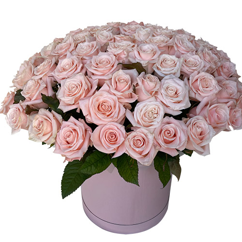Фото товара 101 розовая роза в коробке в Измаиле