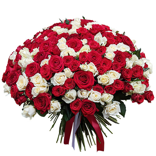 Фото товара 201 красная и белая роза в Измаиле