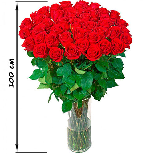 Фото товара 35 высоких роз (100 см) в Измаиле