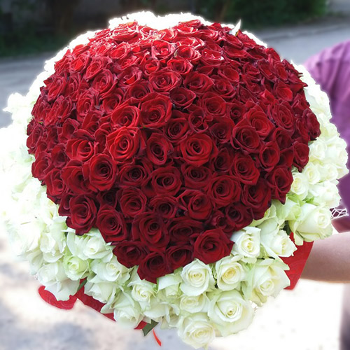 Червоне серце з троянд з білою окантовкою фото