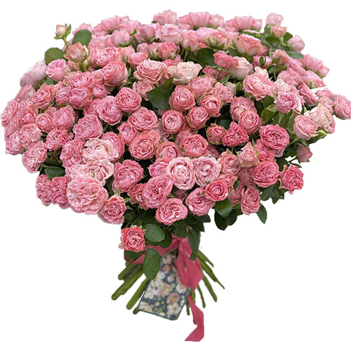 Фото товара 33 кустовые пионовидные розы в Измаиле