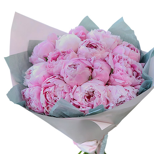 Фото товара 19 розовых пионов в Измаиле