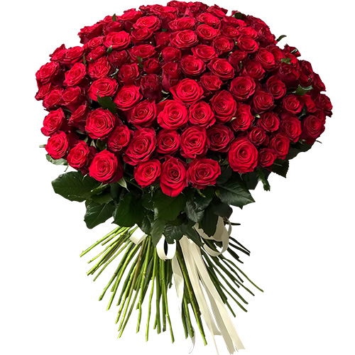 Фото товара 101 троянда червона в Измаиле