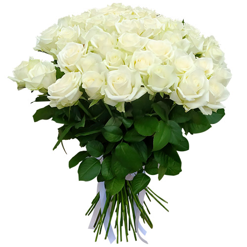 Фото товара 51 роза белая в Измаиле