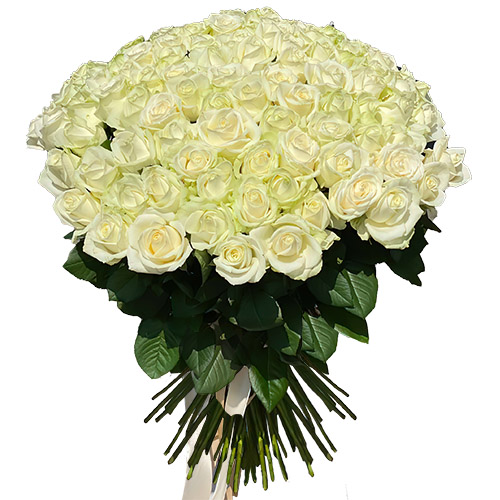 Фото товара 101 троянда біла в Измаиле