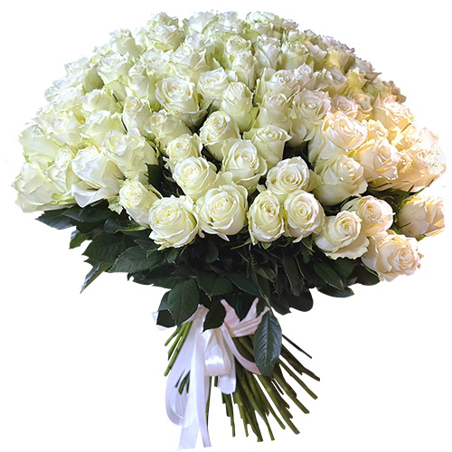 фото товара 101 біла імпортна троянда | «Букетик Ізмаїл»