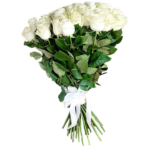 Фото товара 33 білі троянди в Измаиле