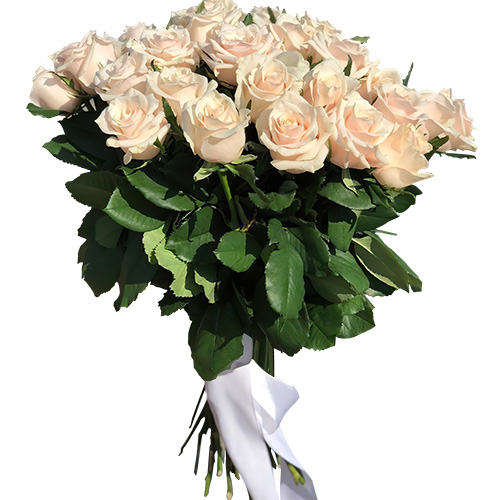 Фото товара Букет из 33 кремовых роз в Измаиле